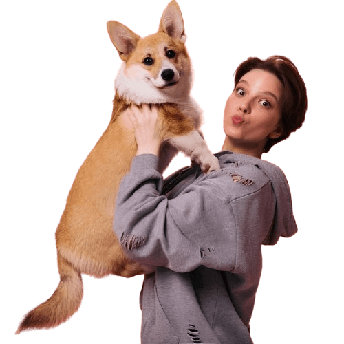 informações sobre cachorros